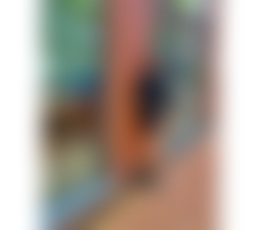 Escorts Lancashire Blackpool - Photos for Bella Sexy Thai Ts "New available"๐๐