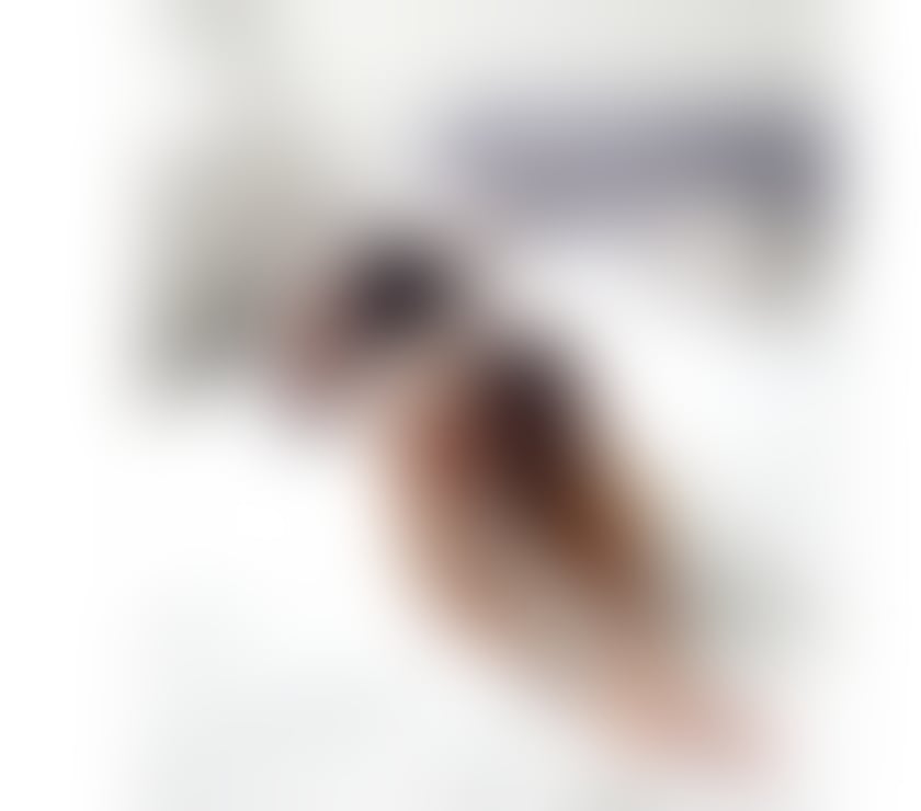 Escorts South Yorkshire Doncaster - Photos for NATASHA TS NEW IN TOWN ONLY OUTCALLS PARTY