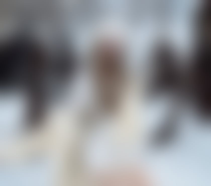 Escorts Gants Hill East London - Photos for ❤️‍🔥New Girl Escort Massage out call cover IG1