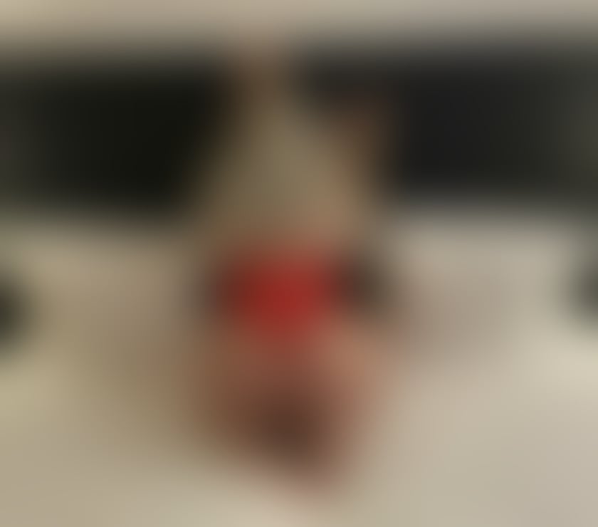 Escorts Stechford Birmingham - Photos for Sexy blonde Latino hot body patricya party 🔥🥂
