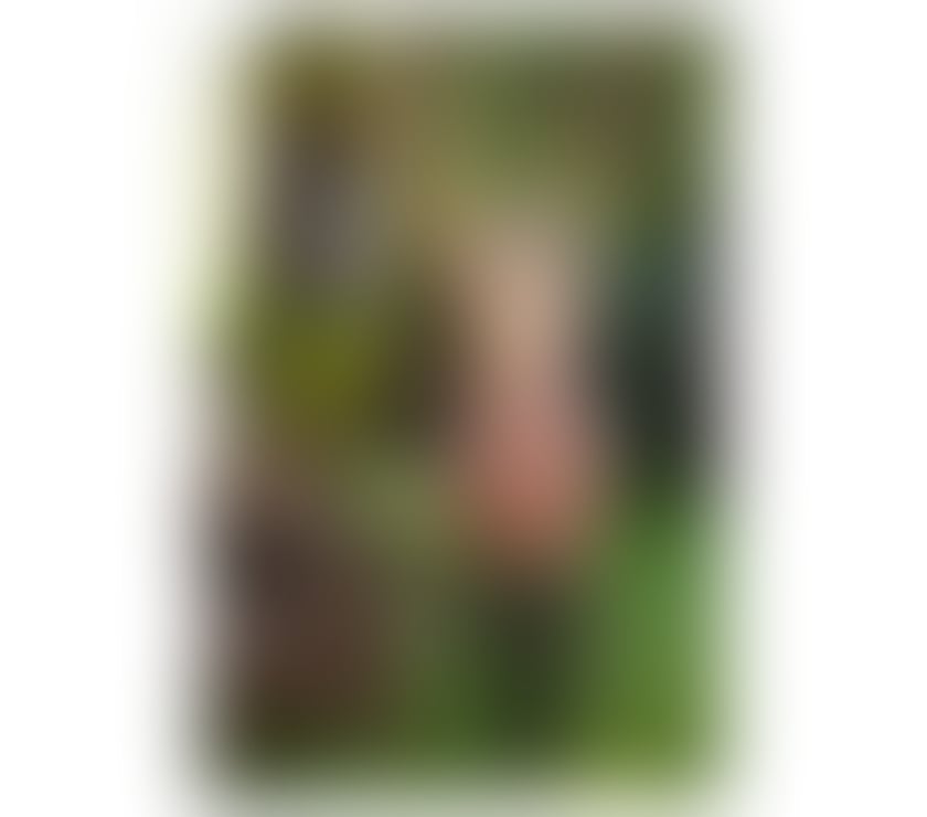 Escorts West Midlands Birmingham - Photos for WANESSA TRANSEX 🔥 HOT SHEMALE