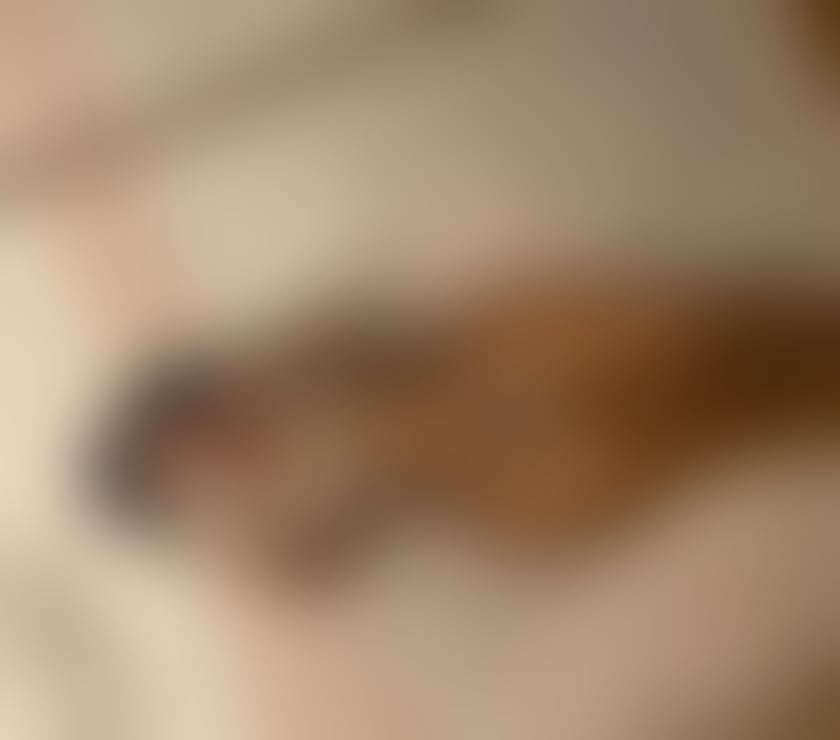 Escorts South East London Hither Green - South East London - Photos for 🍑NEW IN TOWN🎉🎉 PARTY GIRL🍆🍑HAVANNA