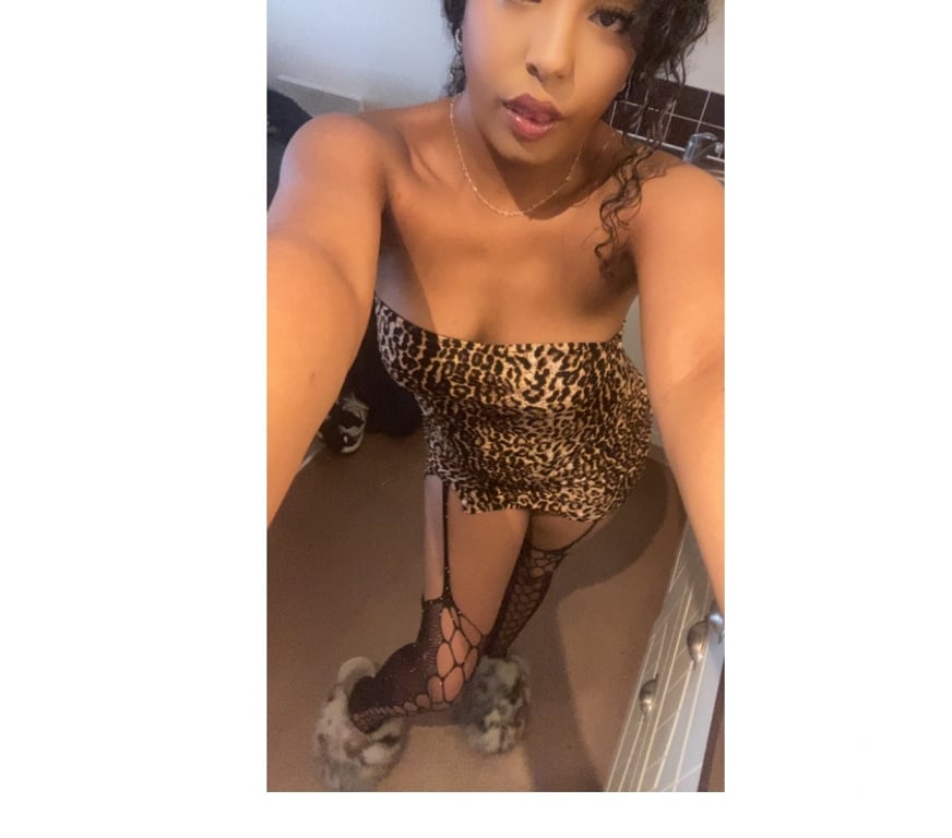 Escorts Hertfordshire North Hertfordshire - Photos for curly head xoxox