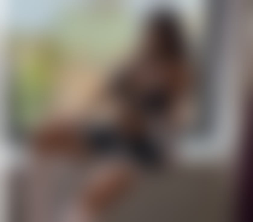 Escorts Ealing Southall - Ealing - Photos for NEW COLOMBIAN DUO 🔥🎉 OWO AND PARTY✨