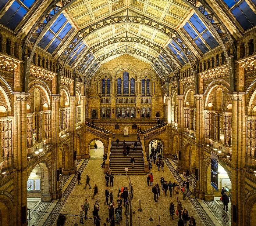 Exhibitions Bristol City Centre Bristol - Photos for DAY OUT AT THE NATURAL HISTORY MUSEUM, LONDON