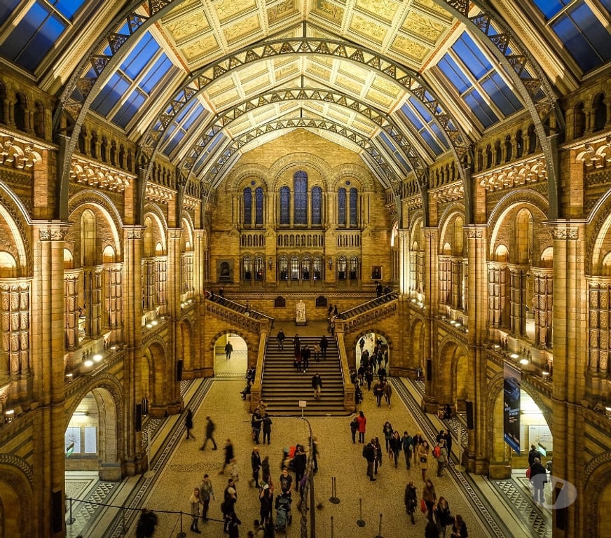 Exhibitions Bristol Bristol City Centre - Bristol - Photos for DAY OUT AT THE NATURAL HISTORY MUSEUM, LONDON