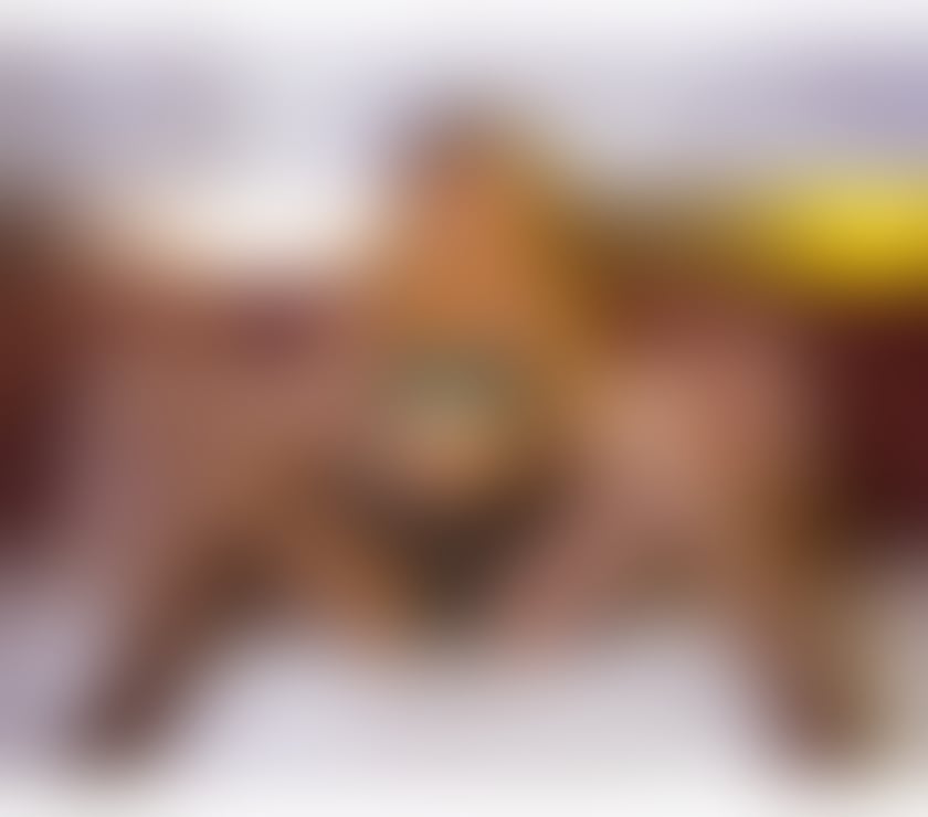 Escorts North Yorkshire Barlby - North Yorkshire - Photos for Luiza party girl ๐ฅฐ๐๐ฅฐ just outcall ๐๐ฅฐ
