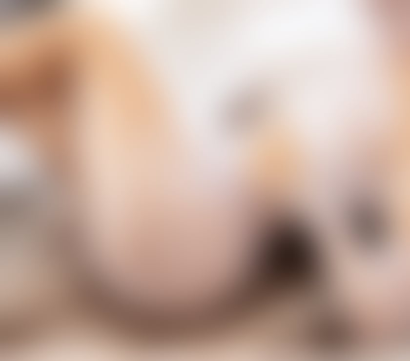 Escorts North London Wood Green Station - North London - Photos for ❤️SWEET❤️GIRL❤️❤️