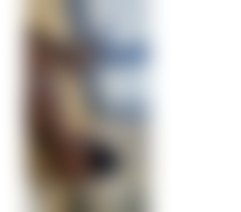 Escorts Cornwall Truro - Cornwall - Photos for Rebeka sexy black girl Brazilian