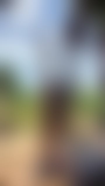 Escorts Central London London Bridge Station - Central London - 