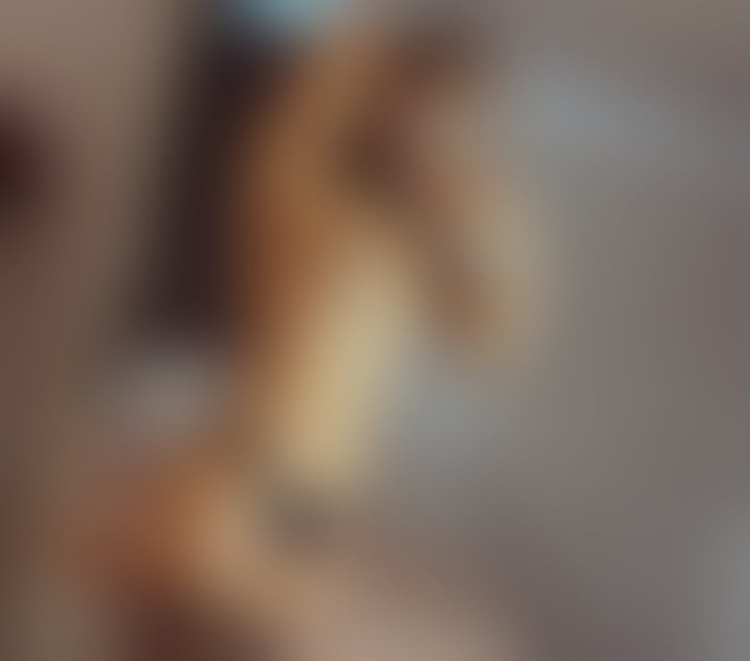 Escorts Somerset Bridgwater - Somerset - Photos for Best 👱♀️luxury girl ✅REAL PHOTOS ✅