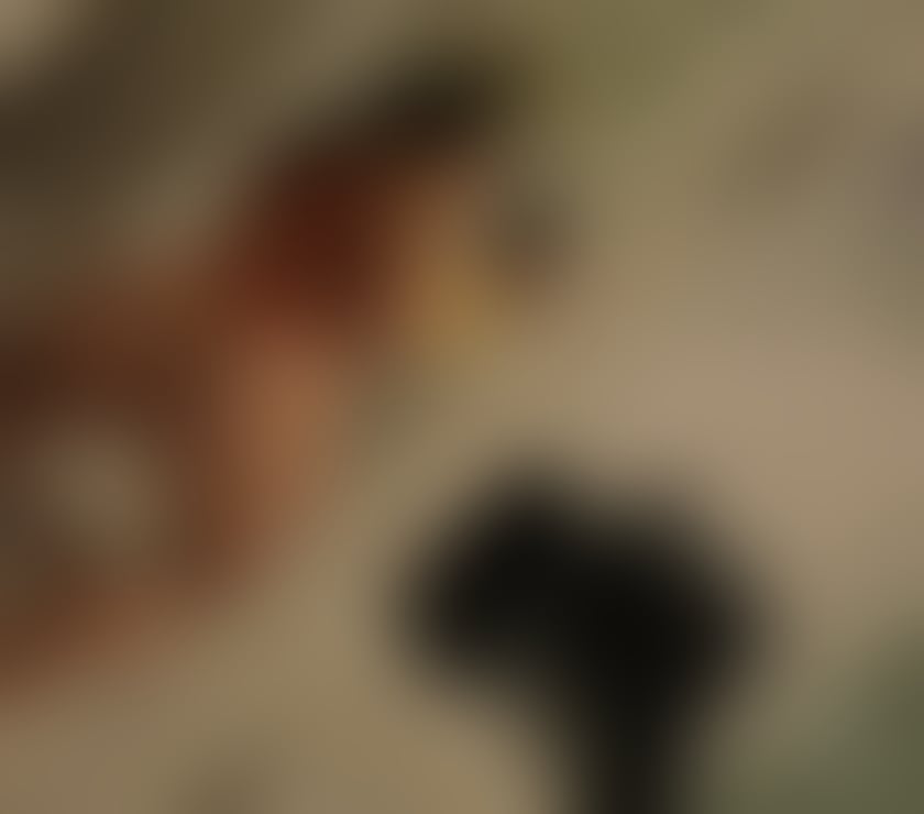 Escorts Essex Chelmsford - Photos for JUST ARRIVED ❗️ OUTCAL 💚❤️HOT AND NAUGHTY