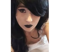 24 7 Whatsapp shows