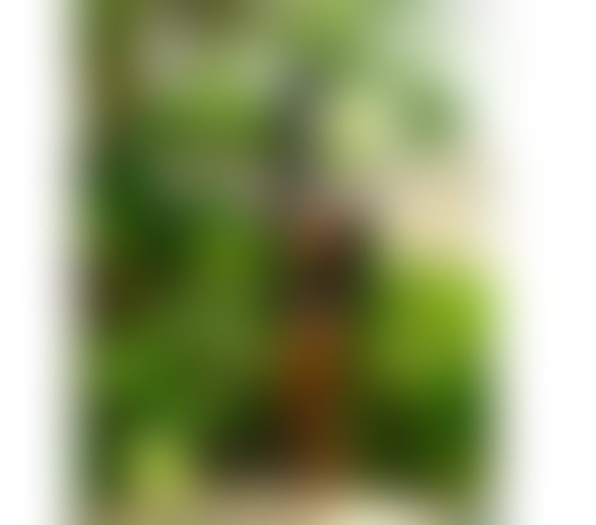 Escorts Merseyside Liverpool - Photos for Cacau - 🥂🍾 🥳 Party Baby 🥂🍾 🥳
