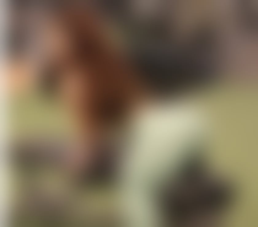 ❤️Lovely Girl❤️Best GFE ❤️JADE LITTLE WOMAN🔥