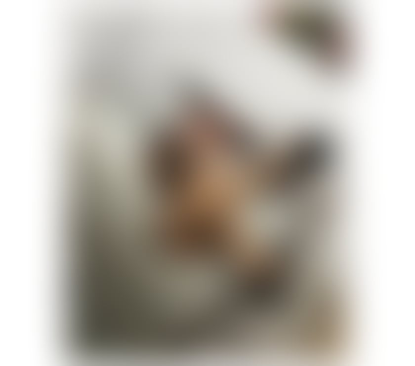 Escorts Wolverhampton City Centre Wolverhampton - Photos for BEST OWO❤️💯NO RUSH💯‼️❤️MELI