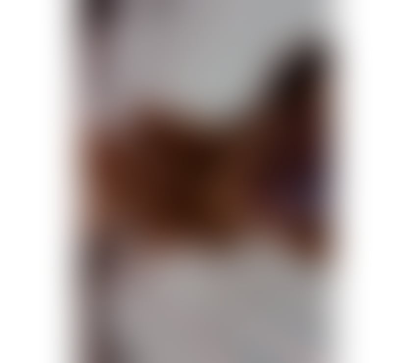 Escorts West Midlands Dudley - Photos for Tasha 🍫skin big 🍒big🍑