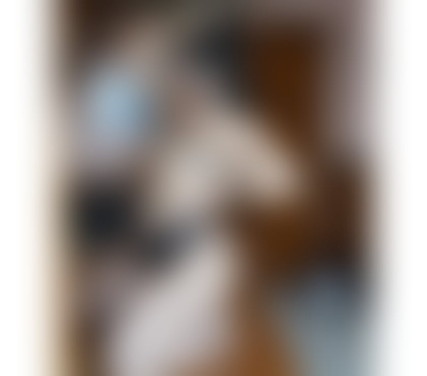 Escorts North Lanarkshire New Stevenston - North Lanarkshire - Photos for ❤️💯REAL🔞Sexy Brunette❤️🔥Party🥳