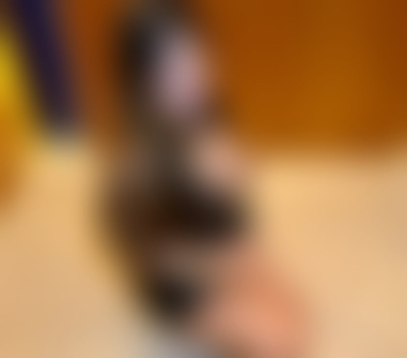 Escorts Essex Chelmsford - Photos for 🇧🇷REBECA PORSCHE MODEL24 7PARTY🥂EXCLUSIVE100%REAL