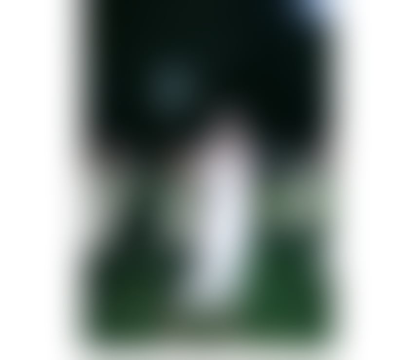 Trans Escorts South Yorkshire Sheffield - Photos for Jasmine Diamond thai ladyboy