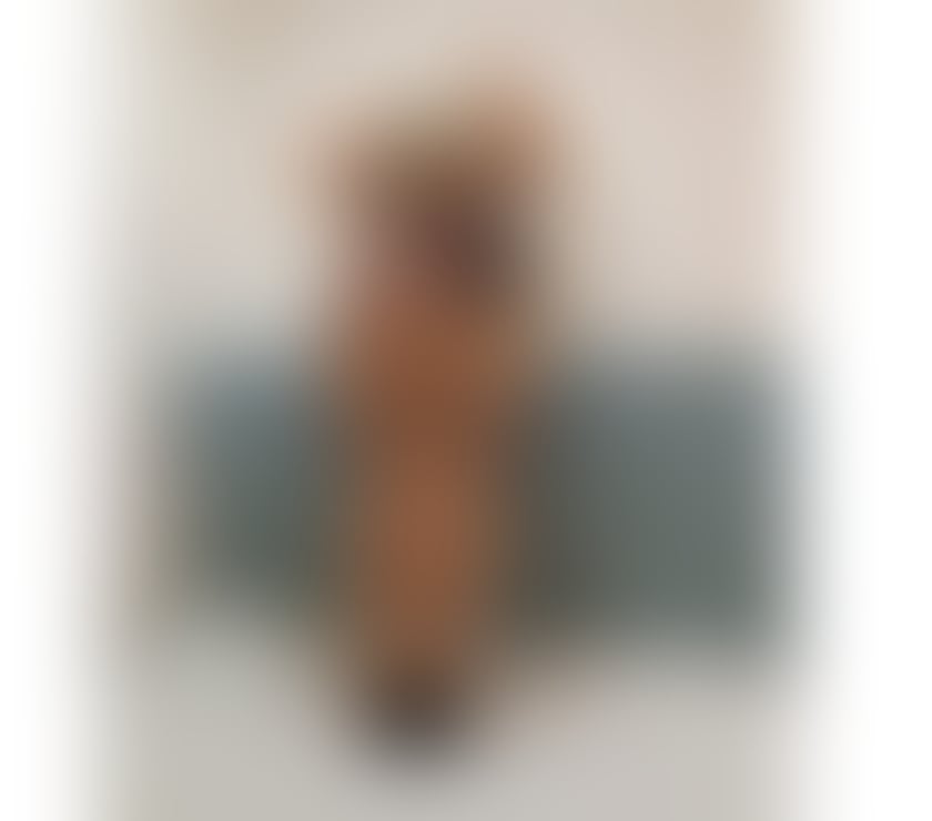 Escorts Peterborough Peterborough City Centre - Peterborough - Photos for POLISH BLONDE Vanessa * OWO * GFE * FRENCH KISSING *