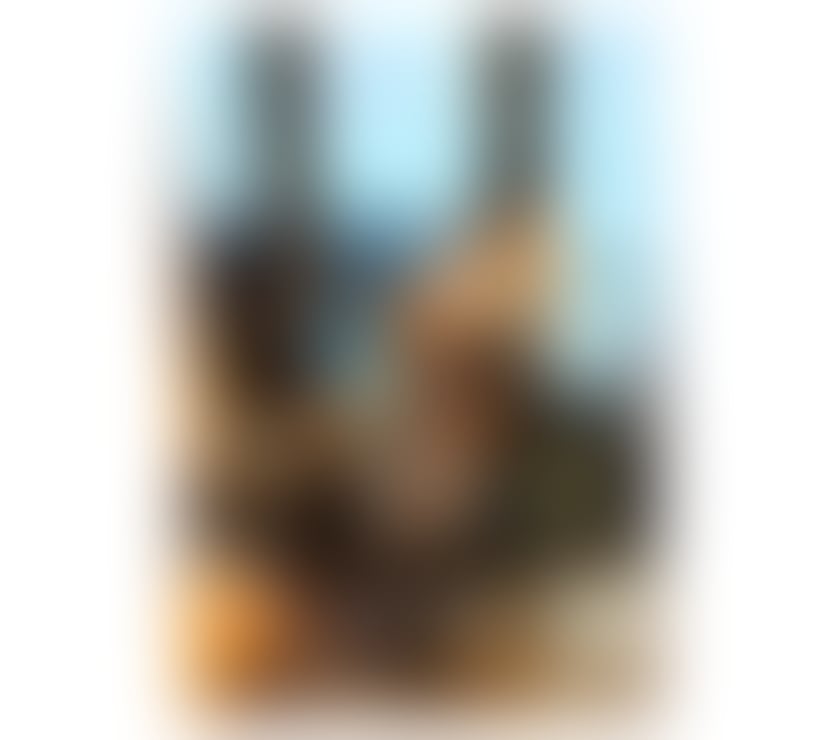 Escorts Barking and Dagenham Barking - Barking and Dagenham - Photos for GABRIELA 🍑NEW GIRL IN THE TOWN🍾🥂
