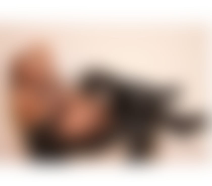 Escorts Essex Brentwood - Photos for TRANSEX PAOLLA ‼️DOMINATRIX‼️STRAP-ON‼️PARTY