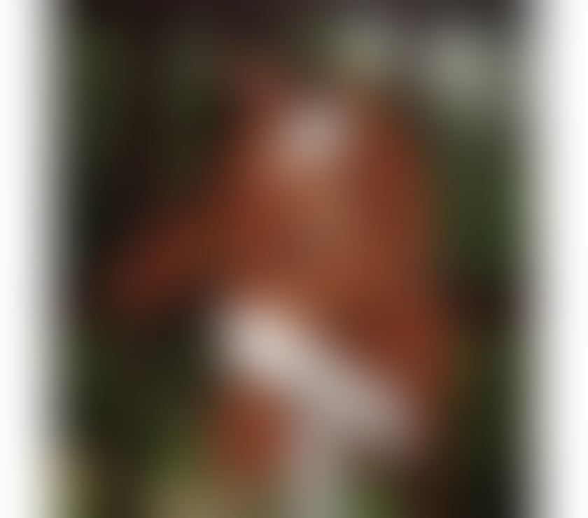 Escorts West Midlands Coventry - Photos for Beautiful brazilian in the City