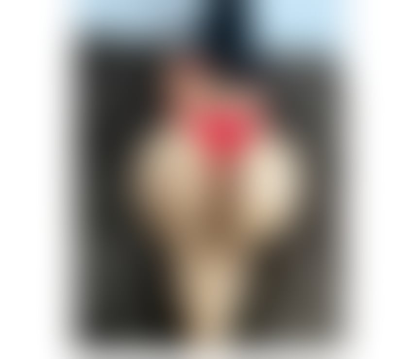 Escorts Torquay Torbay - Photos for Jessica😘BACK IN TOWN💋THE BEST OWO💯REALL