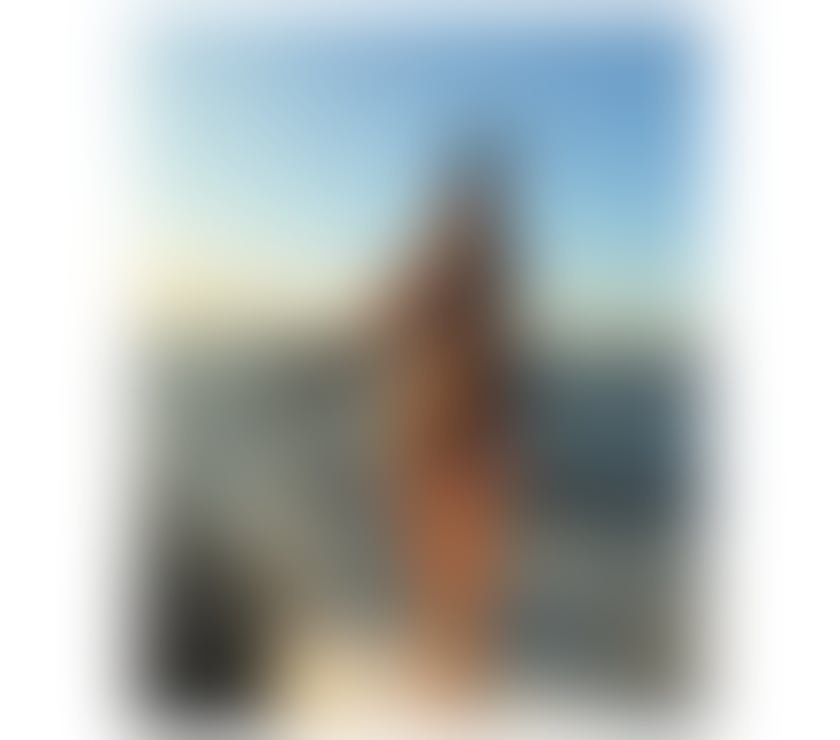 Photos for £40 🔥 NEW NINA WILD LATINA 🇧🇷 IN HARROW HA2