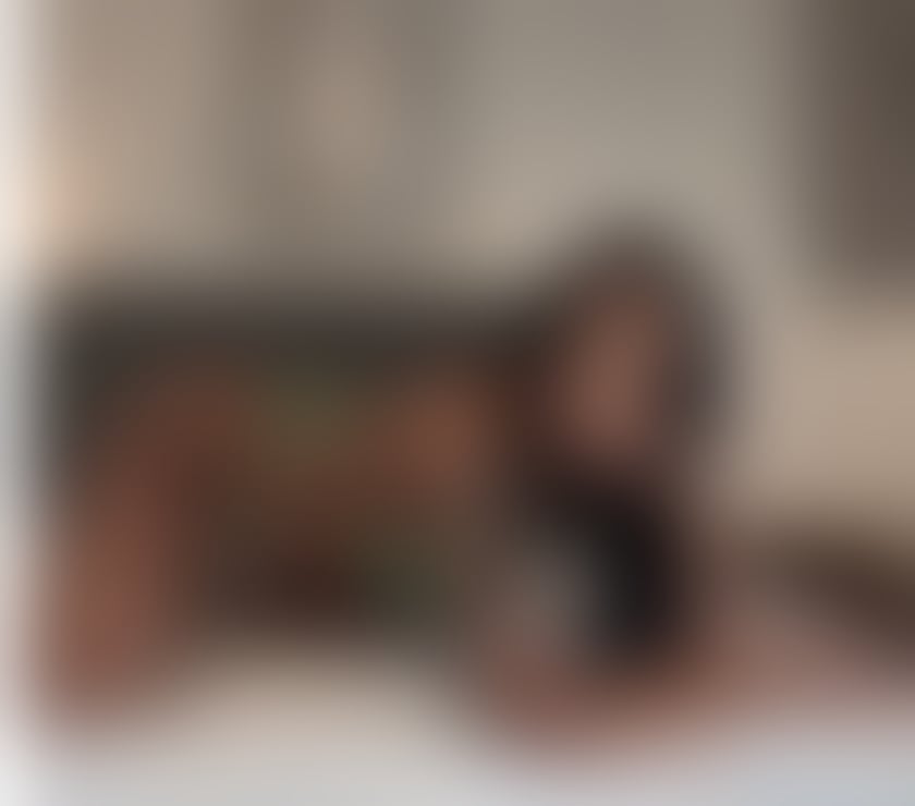 Escorts Merseyside Saint Helens - Photos for 🆕🇧🇷JASMINE IN YOUR TOWN💯🇧🇷