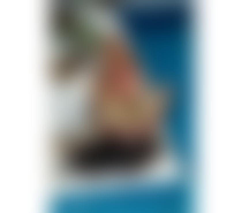 Trans Escorts Oxfordshire Oxford - Photos for Brazilian BBC XXL π§π·π¦π¦π§π·