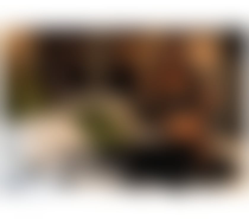 Escorts County Durham Stockton-on-Tees - Photos for Foxy🕳️TV too and bottom 7