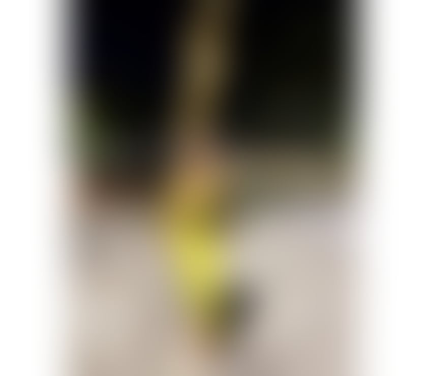 Escorts Hull Hull City Centre - Hull - Photos for Brazilian Girl 🇧🇷