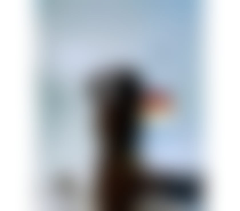 Escorts South Yorkshire Sheffield - Photos for Brazilian Girl 🫦🔥📞Let's party bby🥂🍭🔥