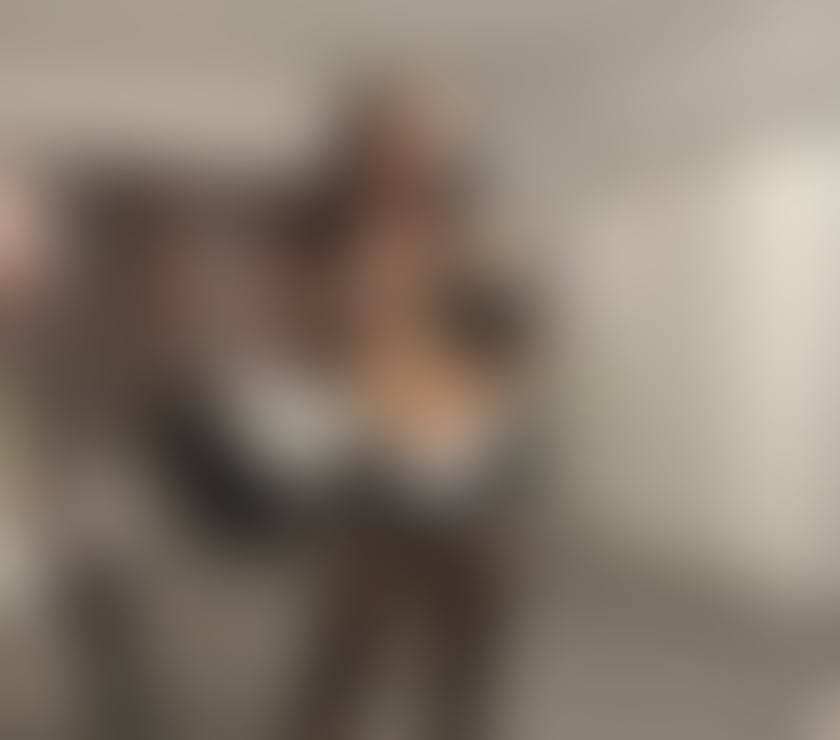 Escorts Gloucester City Centre Gloucester - Photos for ❤️🔥spicey camellia new in town ❤️🔥