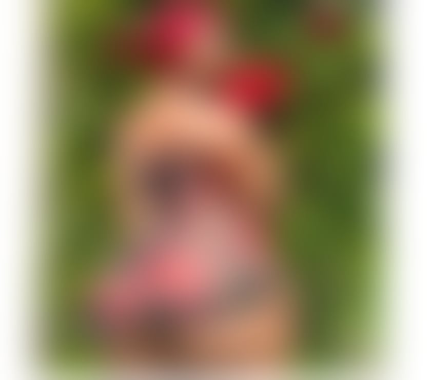 Escorts North West London Cricklewood - North West London - Photos for BIG ASS LATINA NEW IN TOWN