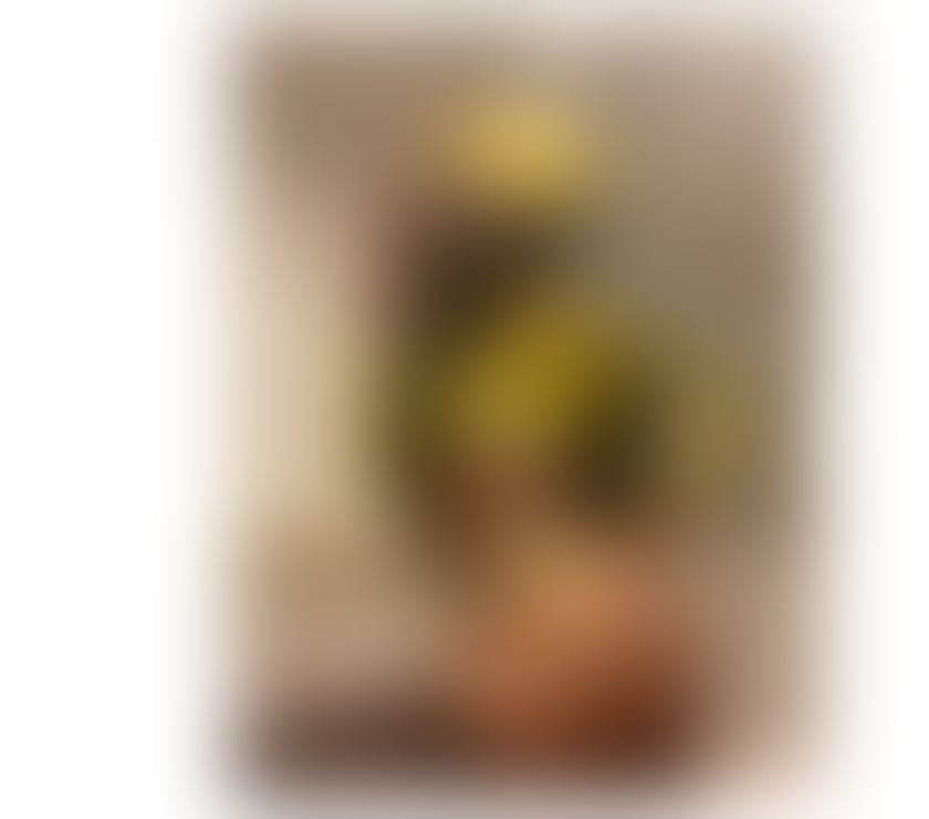 Trans Escorts Nottinghamshire Nottingham - Photos for New latín girl in Your city chocolate brown