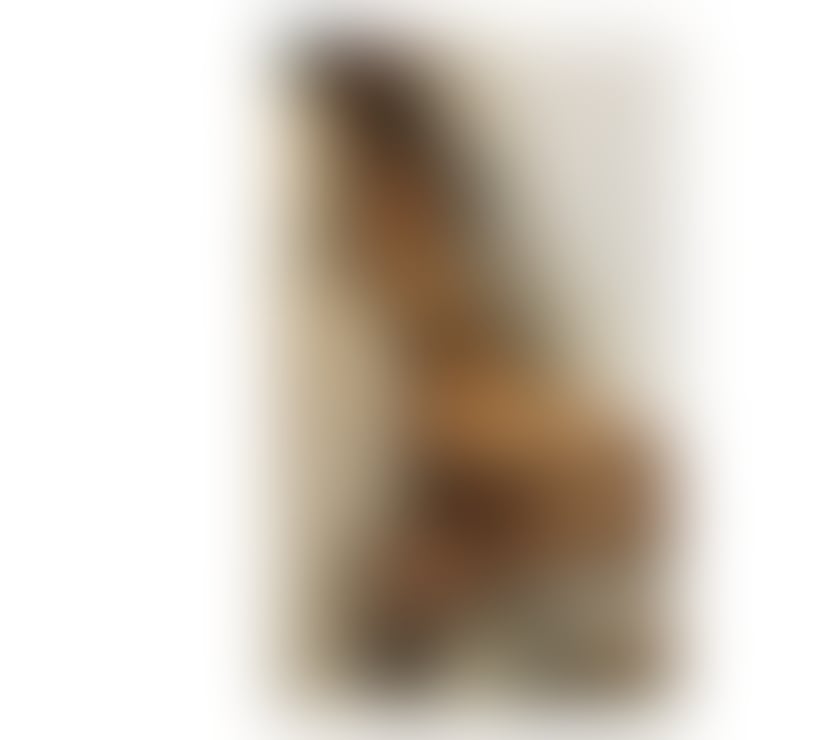 Trans Escorts Nottinghamshire Nottingham - Photos for New latín girl in Your city chocolate brown
