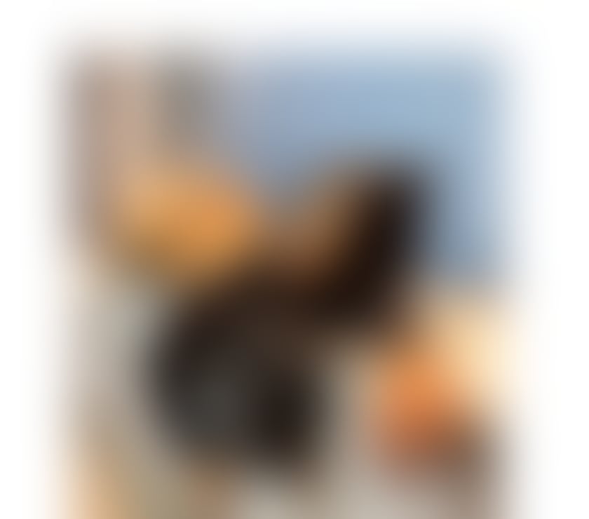 Escorts Essex Thurrock - Essex - Photos for 🇧🇷Sexy brazilian BIG ASS PARTYGIRL 🇧🇷❤️