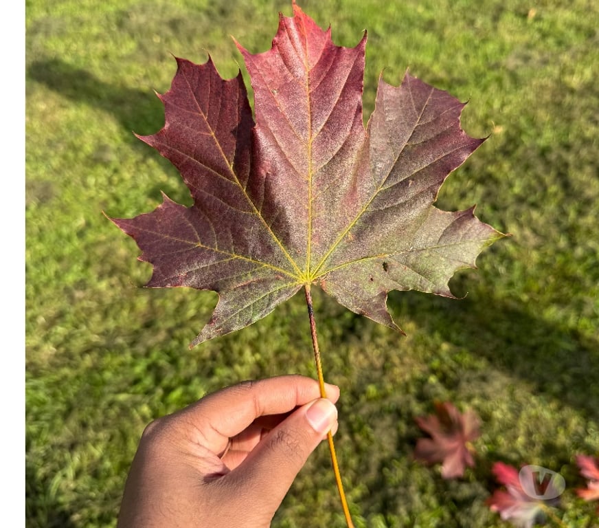 adult personals Reading Reading Town Centre - Reading - Photos for Classy, Attentive Companion Looking for women