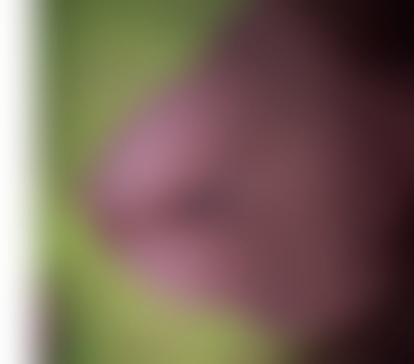 Escorts Wallsend North Tyneside - Photos for 100% English Geordie slut, CIM POV PSE