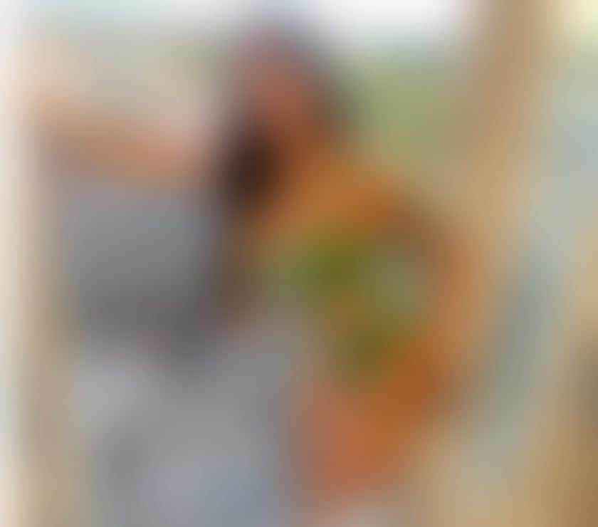 Escorts Kent Dartford - Photos for mikaela, a Brazilian girl, has experience with new