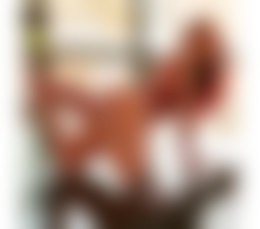 Escorts East Sussex Brighton - Photos for BRENDA BRAZILIAN NEW IN TOWN💯🔞REAL💯 FULL SERVICE
