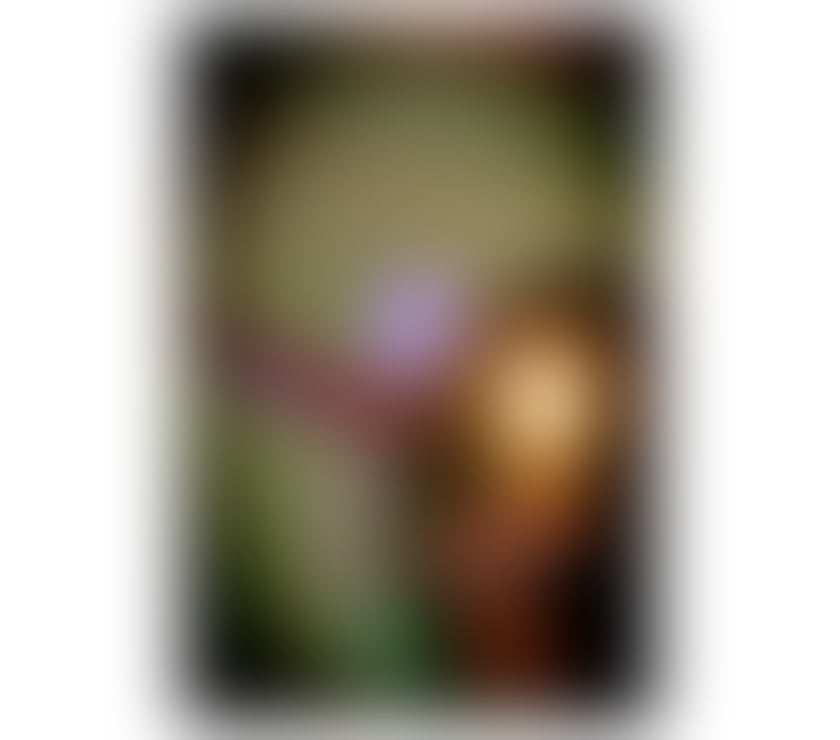 Escorts Hampshire New Forest - Photos for 💥AMARIS💥 NEW❤️🔥SEXY HOT LATINA💥