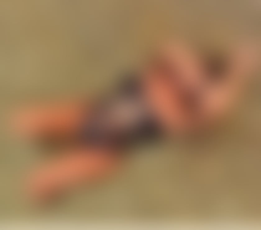 Escorts Shropshire Barnsley - Shropshire - Photos for Sensual brunette🤪 Elite companion for Gentlemen🥰😈