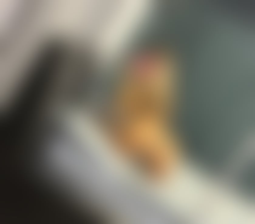 Escorts Tyne and Wear North Tyneside - Photos for Katty❤️ sexy and sweet ❤️ Wallsend