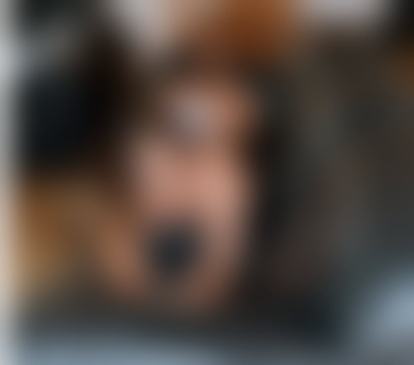 NATASHA TS NEW IN TOWN ONLY OUTCALLS PARTY