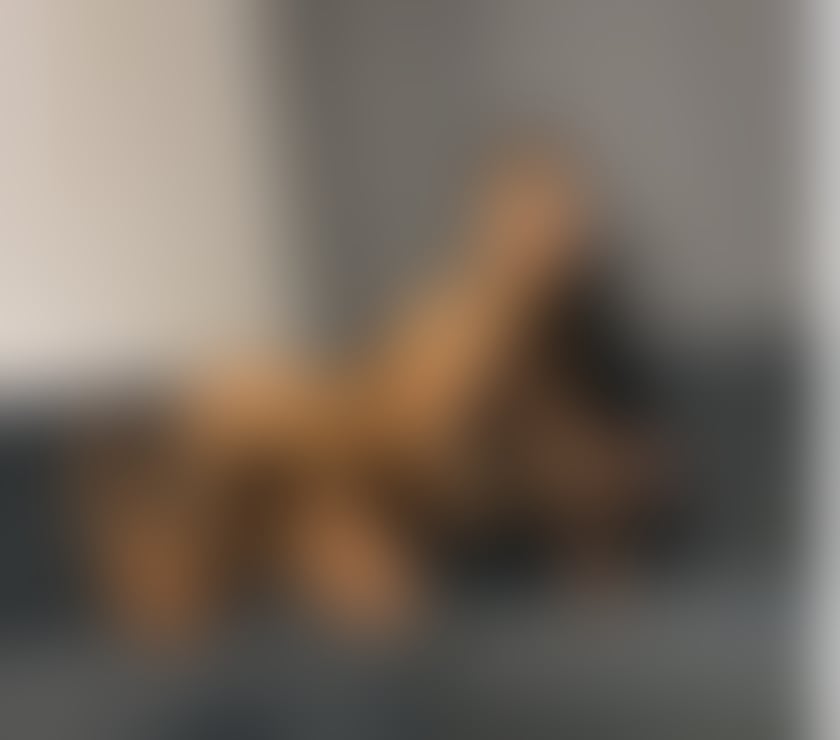 Escorts Essex Colchester - Photos for I am Carolina your dream escort