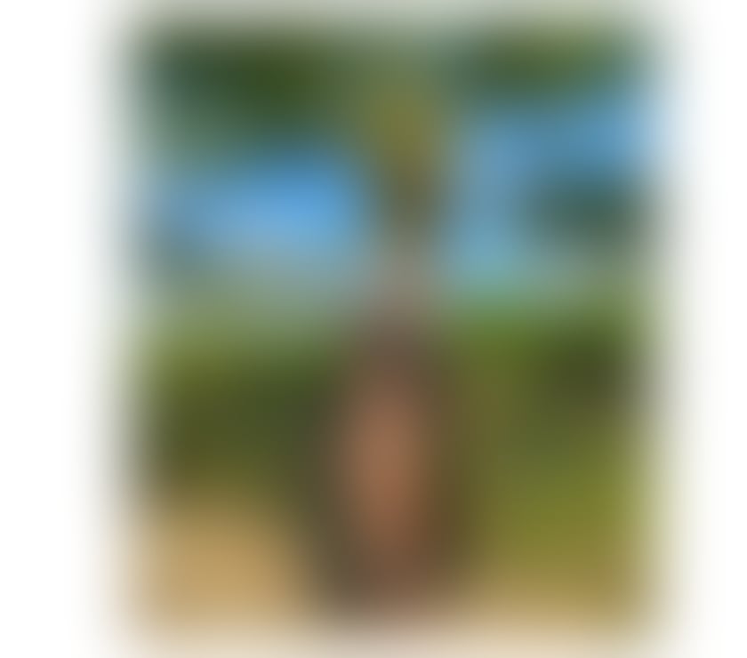 Escorts East London Canary Wharf Station - East London - Photos for 💫 Cléo – Sweet